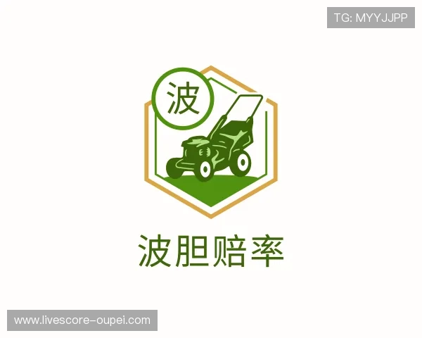 认识足球波胆赔率网站